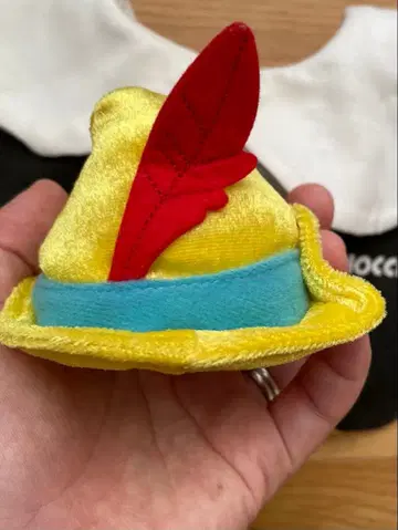 피노키오의 모자