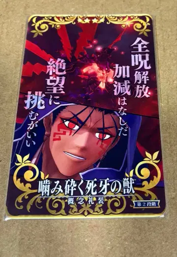 fgoac 인연 예복 쿠훌린 얼터 2차 재림 노멀