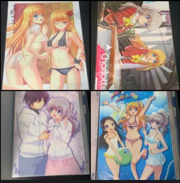 Charlotte 클리어 파일 묶음 판매