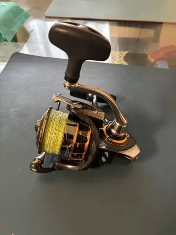 16 셀테이트 2506H