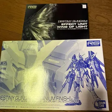 RG 1/144 데스티니 건담 [티타늄 피니쉬], 빛의 날개