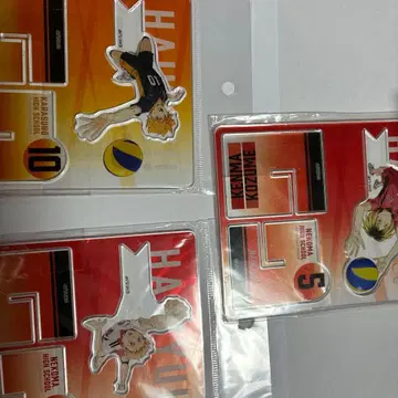 하이큐 크로스 스탠드 컬렉션