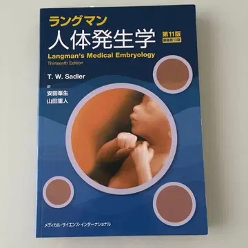 랭그먼 인체 발생학 제11판