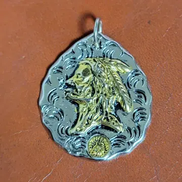 빈티지 인디언 헤드 골드 탑 코인 목걸이