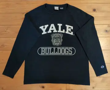 Champion 에일 대 롱T USA 제