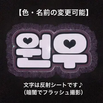 오더 네임 보드 SEVENTEEN 세부치 캐럿 원우 반사 시트