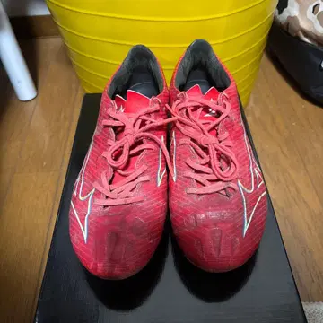 미즈노 알파 프로