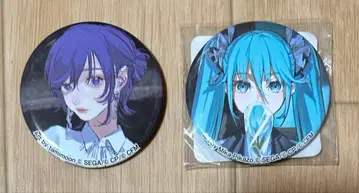 프로세카 하츠네 미쿠 아사히나 마후유 ZOZOTOWN 캔뱃지