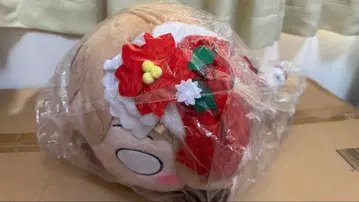 러브 라이브! 선샤인!! Aqours 쿠니키다 하나마루 네소베리 산타걸