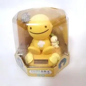 도터 코파 색 풍수 행복을 부르는 햇볕의 민족 금전운 풍수