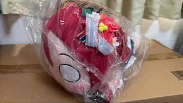 러브 라이브! 선샤인!! Aqours 사쿠라우치 리코 네소베리 산타걸