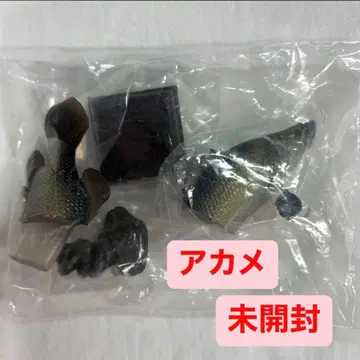 네이처 테크니컬러 일본의 청류 물고기 아카메 가챠 미개봉품