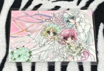 CLAMP 교토 원화전 마법기사 레이어스 라미네이티드 엽서