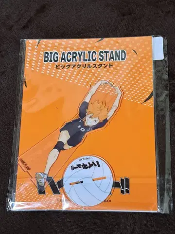 하이큐!! 히나타 쇼요 빅 아크릴 스탠드