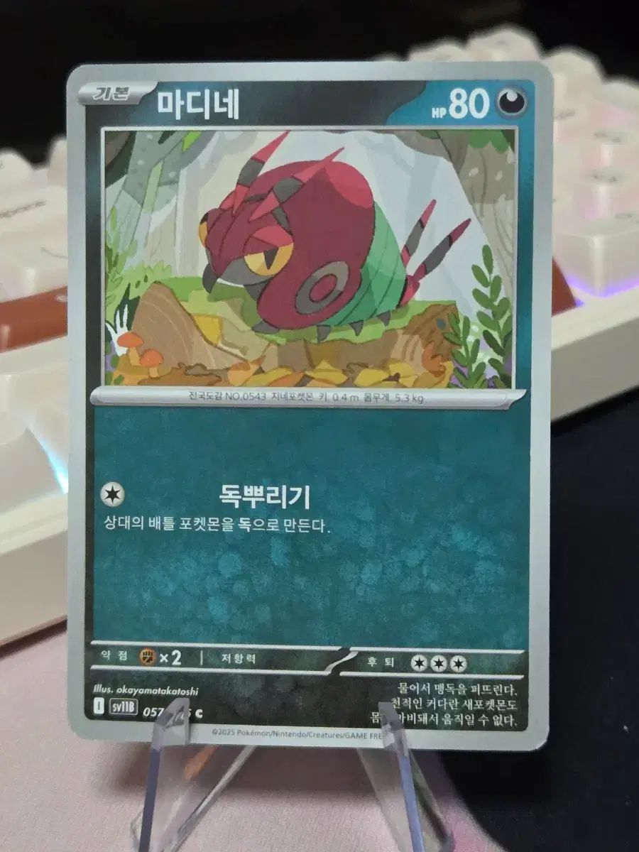 pokemon world championship 2006 cards value 2006 Pokemon Promo Tropical Tidal Wave Semi-Finalist PSA 6 – Northwest  Sportscards main image 1