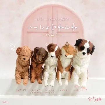 함께 잠들어요 강아지 컴플리트