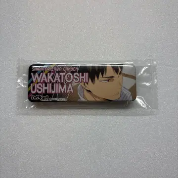 하이큐 시라토리자와 우시지마 와카토시 롱캔뱃지 컬렉션 3 캔뱃지