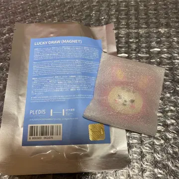 SEVENTEEN MINITEEN 정한 라무 마그넷 럭키 드로우