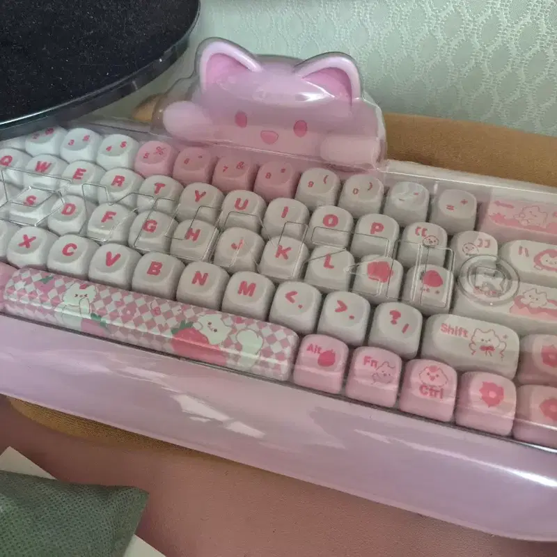 윤지 고양이 키보드 저소음축