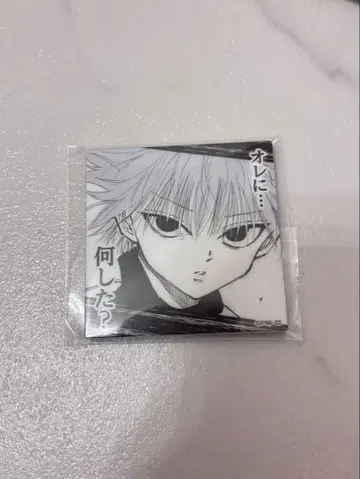 HUNTER x HUNTER 헌터헌터 토가시 요시히로전 키루아 마그넷
