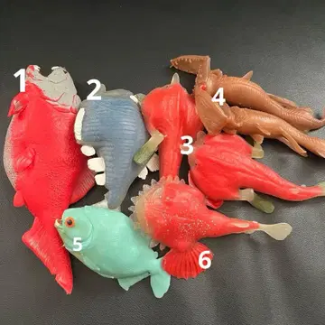 안도코 오오쿠치호시에소 피라냐 쿠츠안코 가라파고스바트피쉬