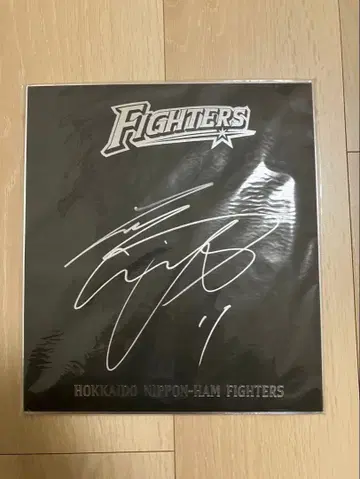 오타니 쇼헤이 일본햄 시대 친필 사인 색지