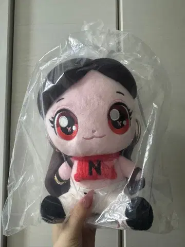 aespa 닝닝 티니핑 봉제 인형 dirtywork