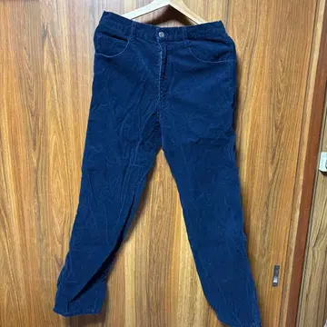 월드 워커스 코듀로이 하의 네이비