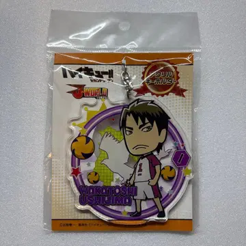 하이큐!! J-WORLD 봄 고등학교 예선 아크릴 키링 우시지마 와카토시