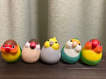 작은 새 라이트 5깃털