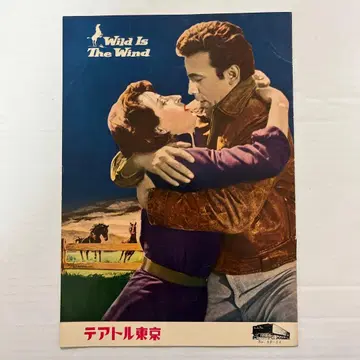 쇼와 레트로 영화 팜플렛 야성의 숨결 감독 조지 큐커