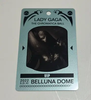 LADYGAGA/라미네이티드 패스