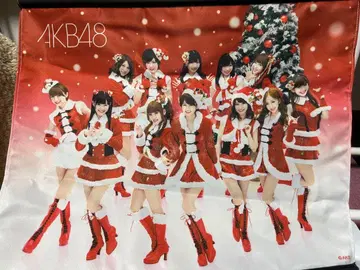 AKB48 크리스마스 의상 태피스트리