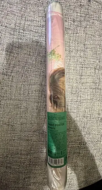 TXT 범규 패브릭 포스터