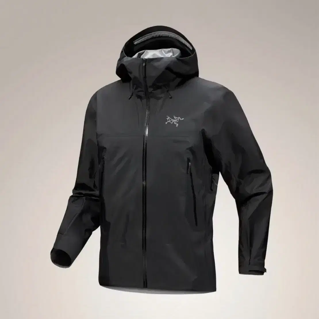 Arc'teryx Beta LT Jacket Solace Size L | Bunjang Global