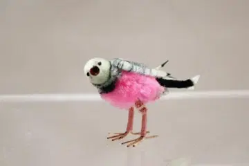 Vintage 빈티지 작은 새 B 몰 인형 쇼와 레트로 인형 잡화로