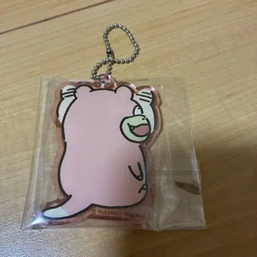 포켓몬스터 포켓몬 나가노 아크릴 참 컬렉션 야돈