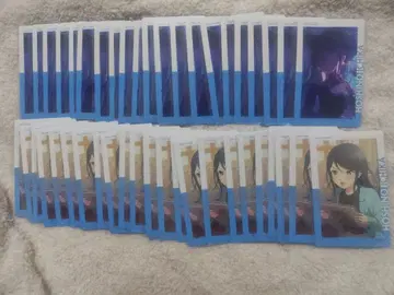 프로세카 에피카 26A 호시노 이치카