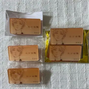 도쿄 리벤저스 원화전 펄 아크릴 네임 배지 컬렉션 미츠야 타카시