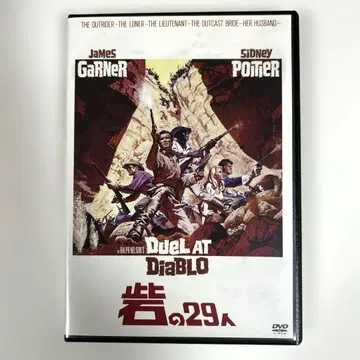 요새의 29인 DVD