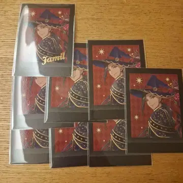 트위스테 파샤코레 금박 노멀 자밀