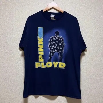 Pink Floyd Delicate Sound of Thunder 밴드