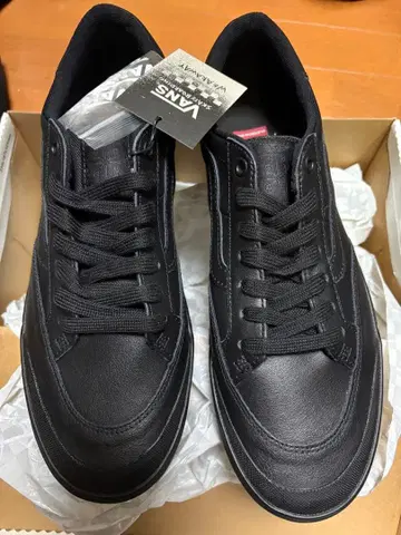 반스 베를 스케이트 보딩