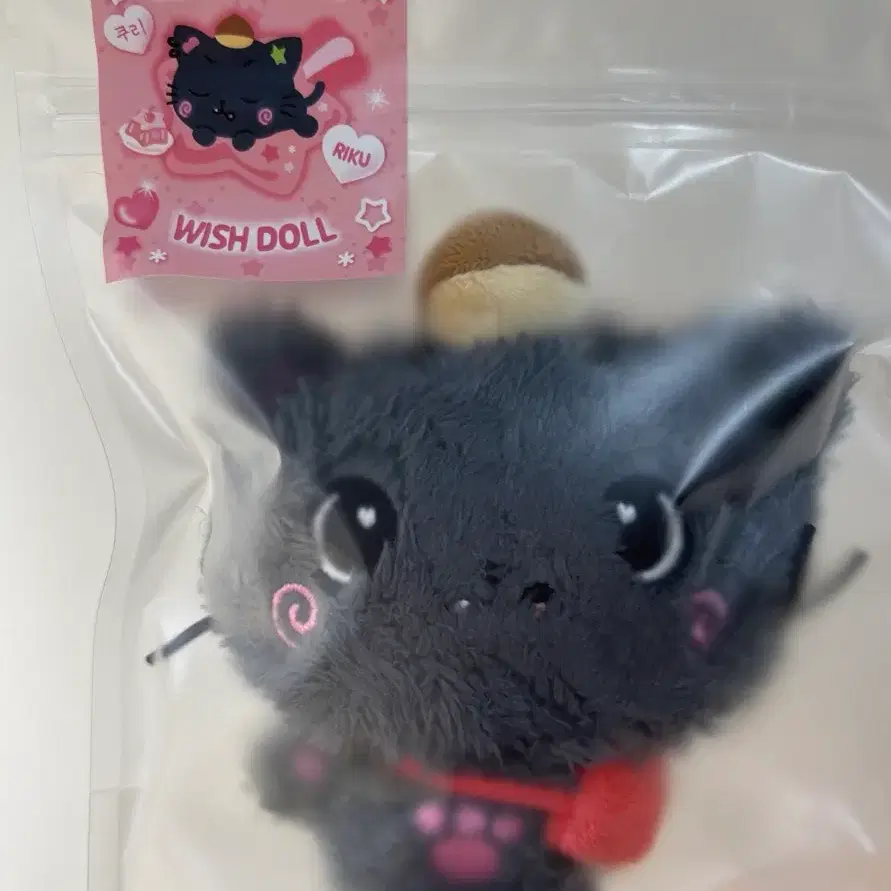NCT WISH Wishdoll Kuri | Bunjang Global