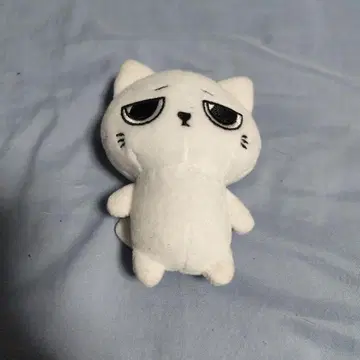 화이트 고양이 봉제 인형