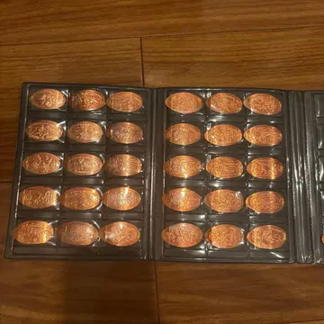 디즈니 코인 컬렉션 앨범