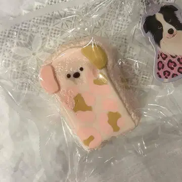 강아지 개 쑥쑥