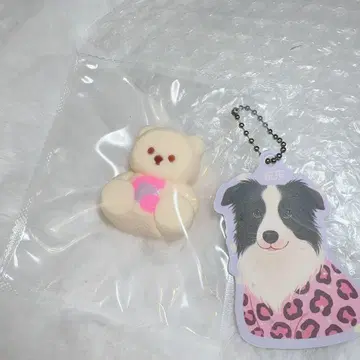 동동 퐁퐁 스퀴즈 주물럭 미니 곰 핑크 dongdong