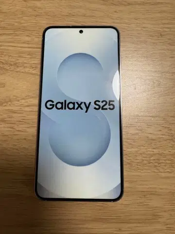 삼성 갤럭시 S25 실버