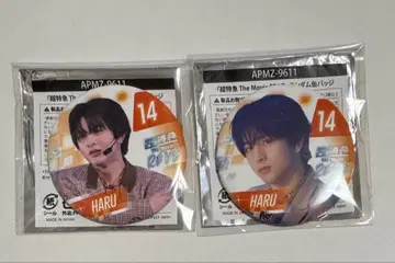 초특급 하루 캔뱃지